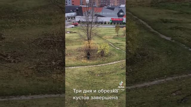 Завершение обрезки кустов