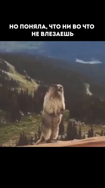 Дарю 15 рецептов вкусных пп-ужинов🍱Забрать можно в Telegram — ссылка в шапке канала (17)