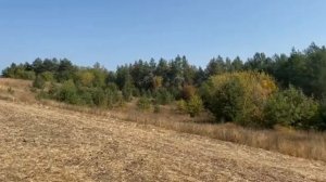 Одинокая гармонь.  Евгений Кунгуров.