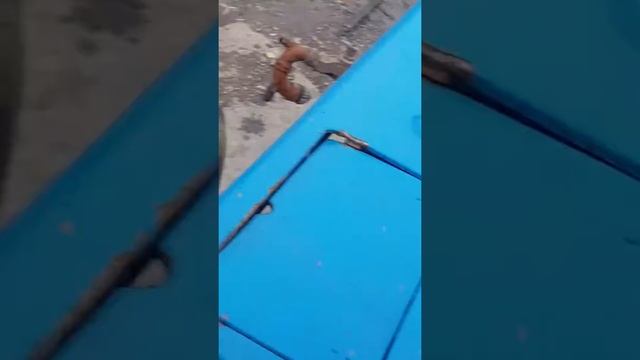 Пьяный гаишник на подработке