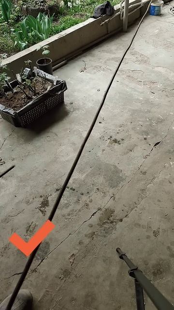 когда нужно проводить весеннюю обработку сада от вред смотреть онлайн