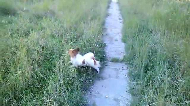 Ищи! смотреть онлайн