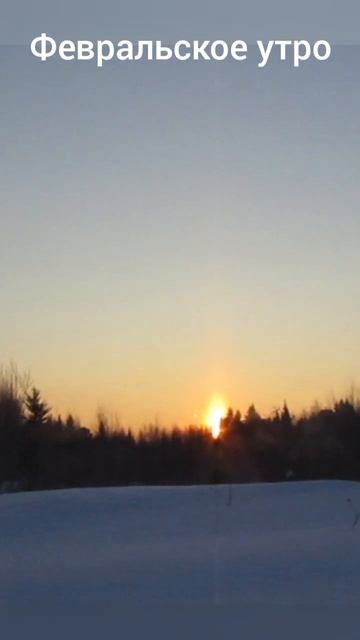 Сибирь/Солнце выходить из-за леса/Сегодня мороз -25 #natura смотреть онлайн