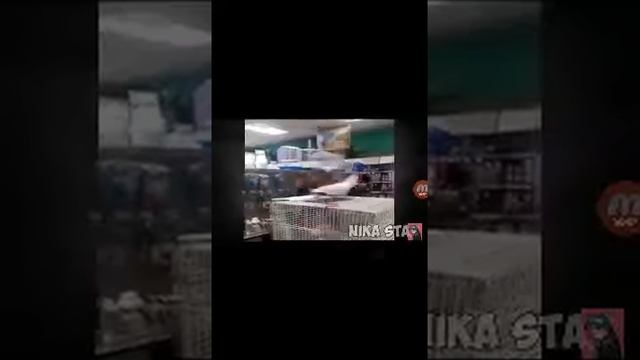 Самый смешной текст на психику.,,, смотреть онлайн