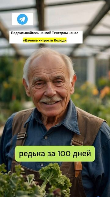 СРОЧНО посейте это уже сейчас в июле!!#сад #дача #огород смотреть онлайн