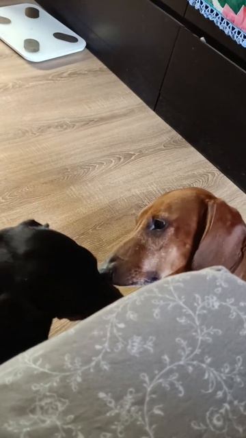 Мир, дружба и жвачка.