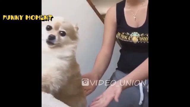 не детские приколы#2 ОПА ОПА вот это ПОПА!best jokes compilation#2 funny videos смотреть онлайн