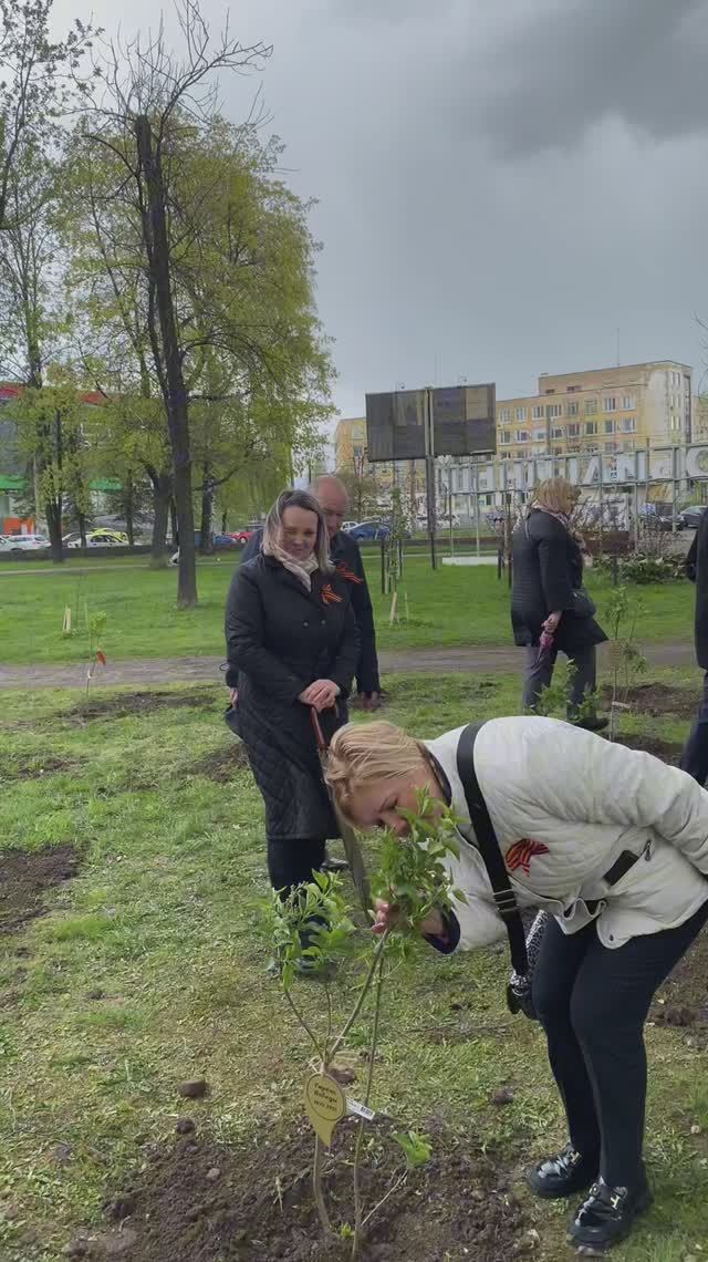 Сирень Победы. К 80-летию победы в Великой Отечественной войне