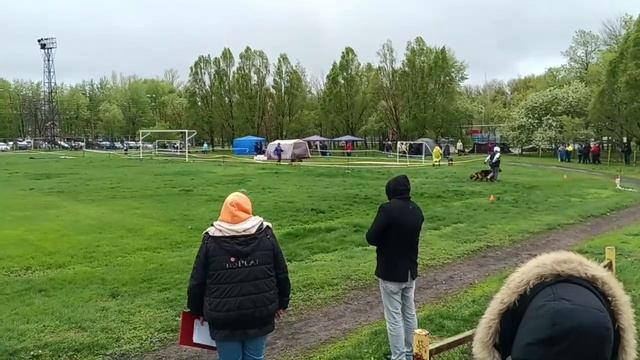 1 Отл. КЧК IVANKA v. Unity Hof +++ №66 / КЧК САМАРА 27 апреля`25 И.Герлеман Моно немецких овчарок