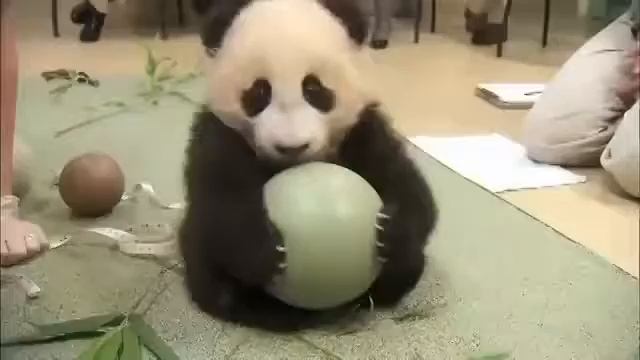 я жадина😂 смотреть онлайн