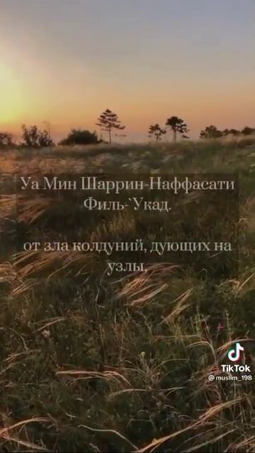 сура аль-Фаляк🌹🌹