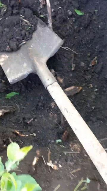 Фильм "Не куда бежать , остается только копать" ))) #сад #? смотреть онлайн