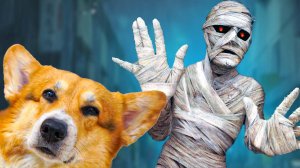 ЧЕЛОВЕК В БИНТАХ НАПАЛ НА НАС! НИКОГДА НЕ ПРОИЗНОСИ ЕГО ИМЯ! Корги Кекс Говорящая собака