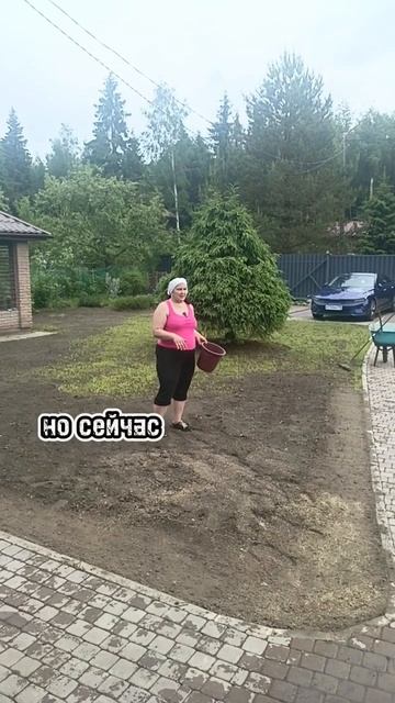 Какой газон сеять на участке? #топ #сад #дача #курсыланд смотреть онлайн