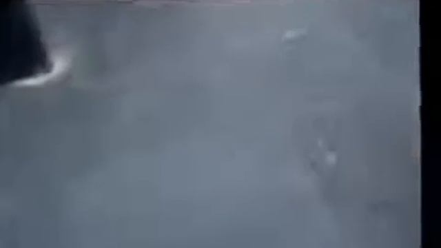 Приколы над голыми девушками приколы смотреть онлайн
