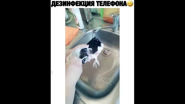 Смех до слез | Лучшие приколы 2020 ОКТЯБРЬ | Best Coub 2020 №75 смотреть онлайн