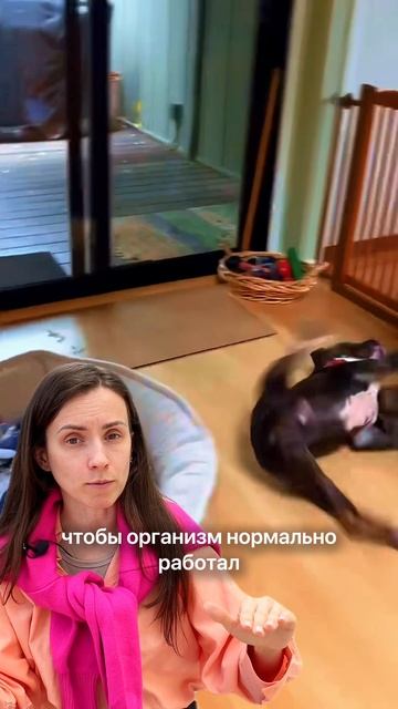 Почему мясо может привести к переломам