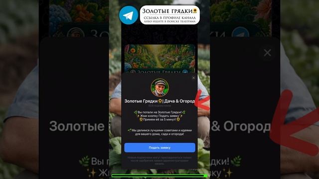 Как обеззаразить семена перед посадкой: лучшие способ смотреть онлайн