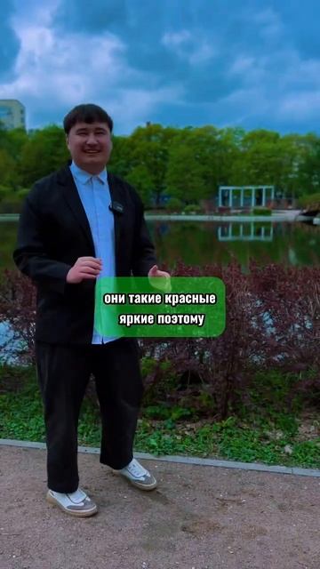 Сегодня мы рассказываем о том, как делать не надо❌ #ба? смотреть онлайн