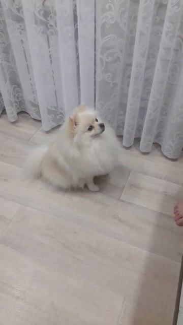 тимусик❤✌ смотреть онлайн