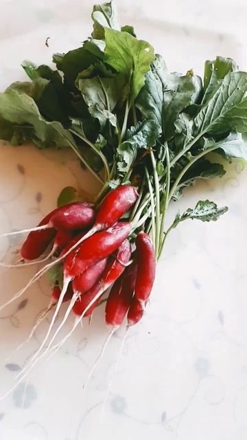 16 июня 2024 г. смотреть онлайн