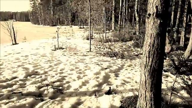 Жанна Сербинович. Мальчишка на блёклом портрете. смотреть онлайн