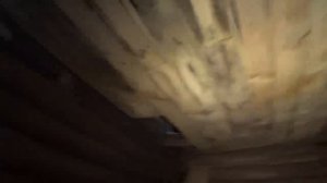 ИХ БРОСИЛИ НАВСЕГДА! ШИКАРНЫЕ ДЕРЕВЕНСКИЕ ДОМА. ЧТО НАШЁЛ В НИХ_ ЗАБРОШЕННАЯ ДЕРЕВНЯ СЫСУЙКОВО.