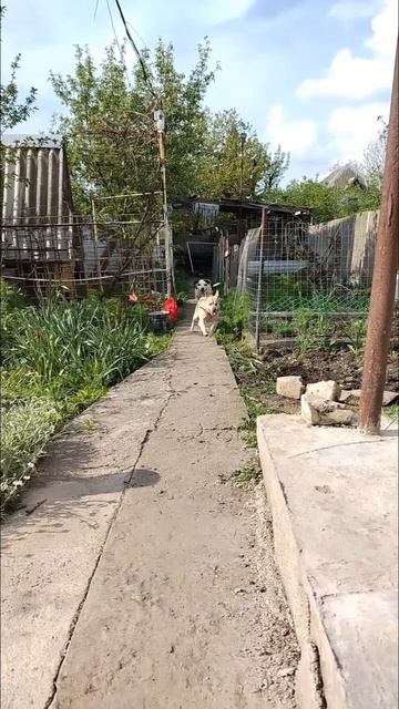 очередной раз смотреть онлайн