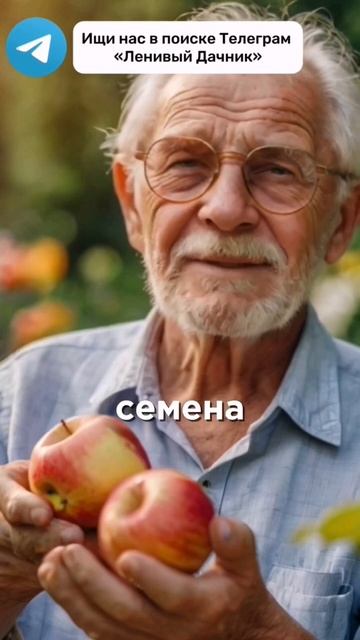 Эти способы подготовки семян обеспечат 100% всхожесть #? смотреть онлайн