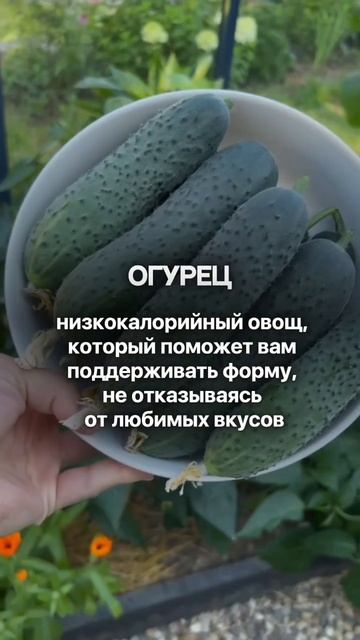 Знаете в чем польза огурцов?🥒 #дача #сад #выращивайте # смотреть онлайн