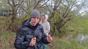 СКОЛЬКО СТОИТ МАЛЕК///ЗАПУСКАЕМ БЕЛОГО АМУРА И ТОЛСТОЛОБИКА