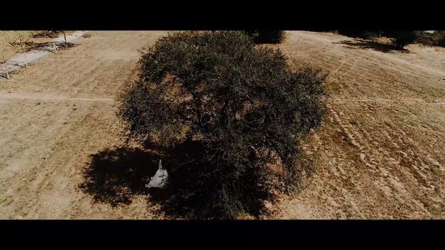Лев и Жанна смотреть онлайн