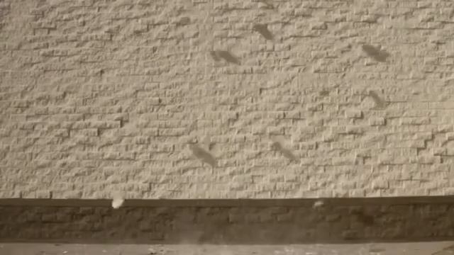 Хотите верьте... Хотите проверьте...