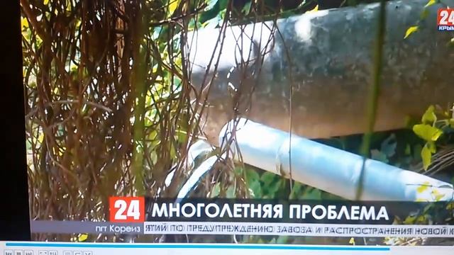 ПРОБЛЕМА С КАНАЛИЗАЦИЕЙ В КОРЕИЗЕ ДО СИХ ПОР НЕ РЕШЕНА смотреть онлайн