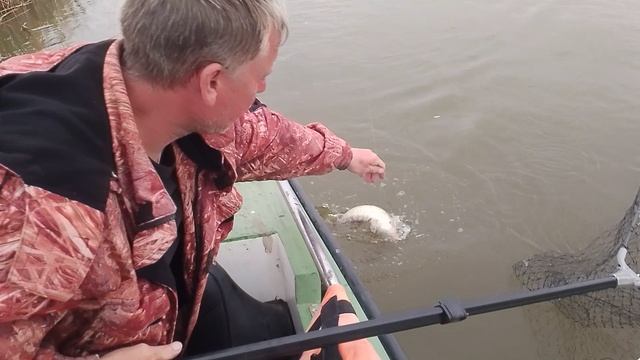 рыбалка Астрахань сом
