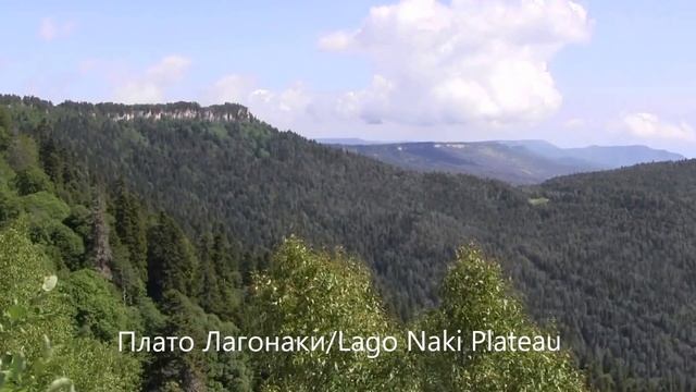 Lens: Лагонаки Адыгея/Adygea,  Lago Naki