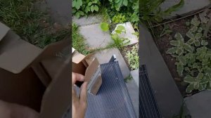 Распаковка #2 живучка Спаклер от ПОИСК через Ozon.