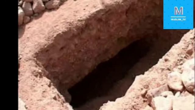 Кабрда буладигон савол жавоб. Абдуллох Домла. смотреть онлайн