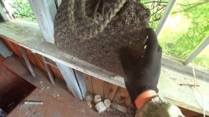 ОНА ОСТАЛАСЬ СОВСЕМ ОДНА! УДИВИЛСЯ НАЙДЕННОМУ. ОГРОМНАЯ ЗАБРОШЕННАЯ ДЕРЕВНЯ КУЗНЕЦЫ. КИРОВСКАЯ ОБЛ.