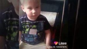 Пропала собака 😂😂 #топ прикол