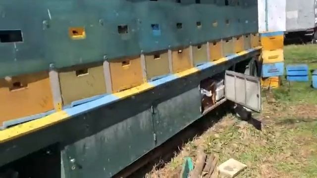 15 апреля 2021 г. смотреть онлайн