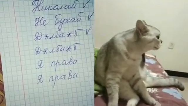 Николай, Не Бухай😂👌 смотреть онлайн