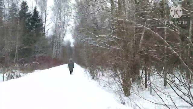 🔴 Лыжная прогулка #6/Ски разходка #6/Ski walk #6 🎿❄️ смотреть онлайн