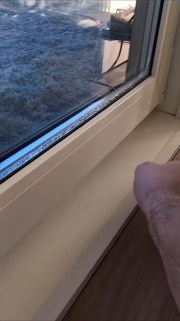 Вопрос знатокам: Почему плачут окна? #домогород смотреть онлайн