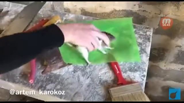 Каха интернет смотреть онлайн