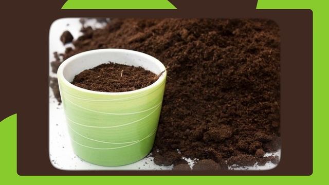 Ваши растения ВАМ ЭТОГО НЕ ПРОСТЯТ! / Причины почему со смотреть онлайн