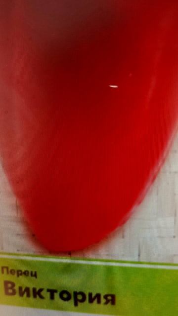 Самый лучший перец в мире 2025 г.!Высокоурожайный,вкусны смотреть онлайн
