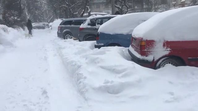 Львов 12.02.21 Снежные горы и норы)