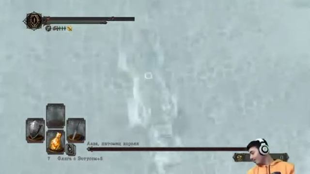 СМЕШНЫЕ МОМЕНТЫ DARK SOULS 2 SotFS БАРСИК. ПОХОД К ААВА, ПИТОМЕЦ КОРОЛЯ смотреть онлайн