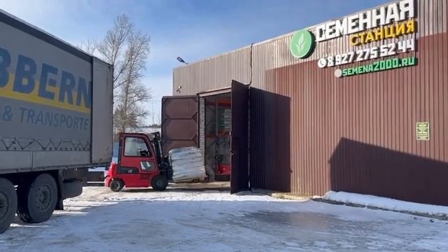 Семена газона купить оптом с доставкой смотреть онлайн